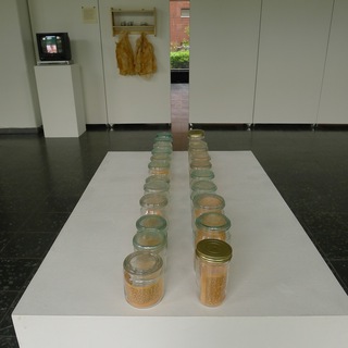 ,Vested Memories'           
Gruppenausstellung
Universität der Künste Berlin 2012
Fotos: Barbara Loreck