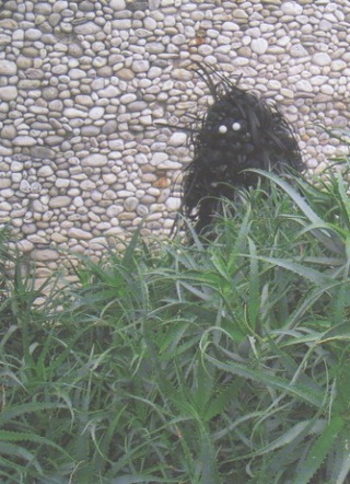 ,picto-orphanage'    
Pictoplasma Conference    
Haus der Berliner Festspiele 2006    
Figurenbau: Kostümklasse der UdK    
Fotos: Pictoplasma