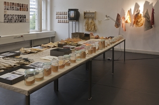 ,Körper und Zeit- über das Alter(n)'     
Diplomarbeit UdK Berlin 2011     
Ausstellungsraum     
Fotos: Thomas Jäger